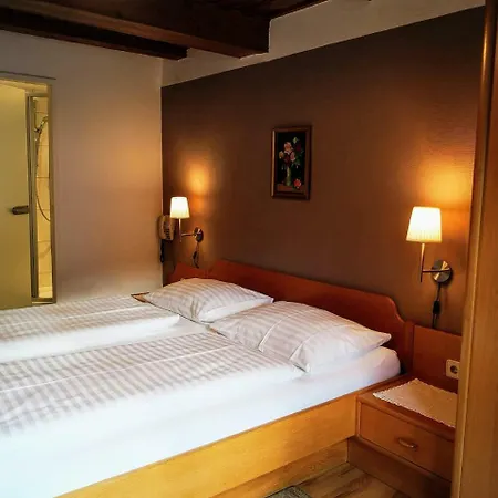 Gasthof-pension Alt Kirchheim 3* Bad Kleinkirchheim